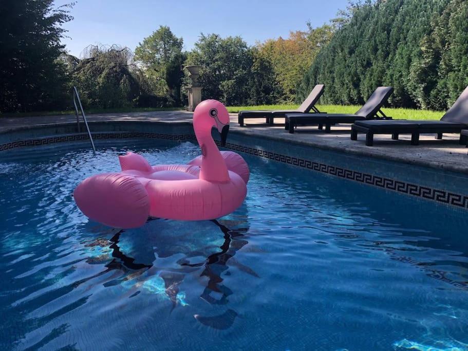 Villa Heckenfels Bad Honnef Εξωτερικό φωτογραφία